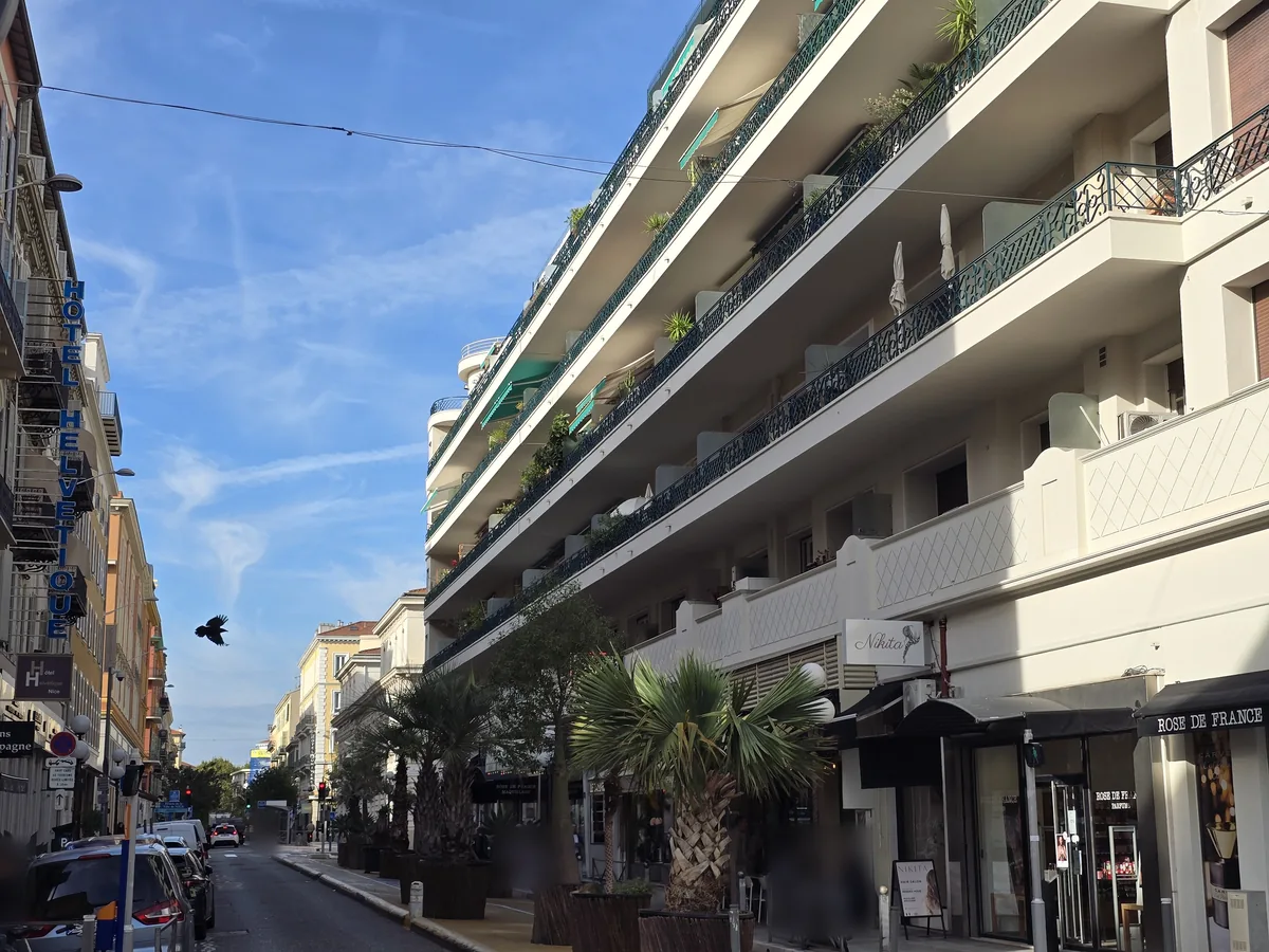 Rue de l'Hôtel-des-Postes à Nice : chaussée étroite, palmiers en bacs, commerces et façades à balcons de part et d'autre