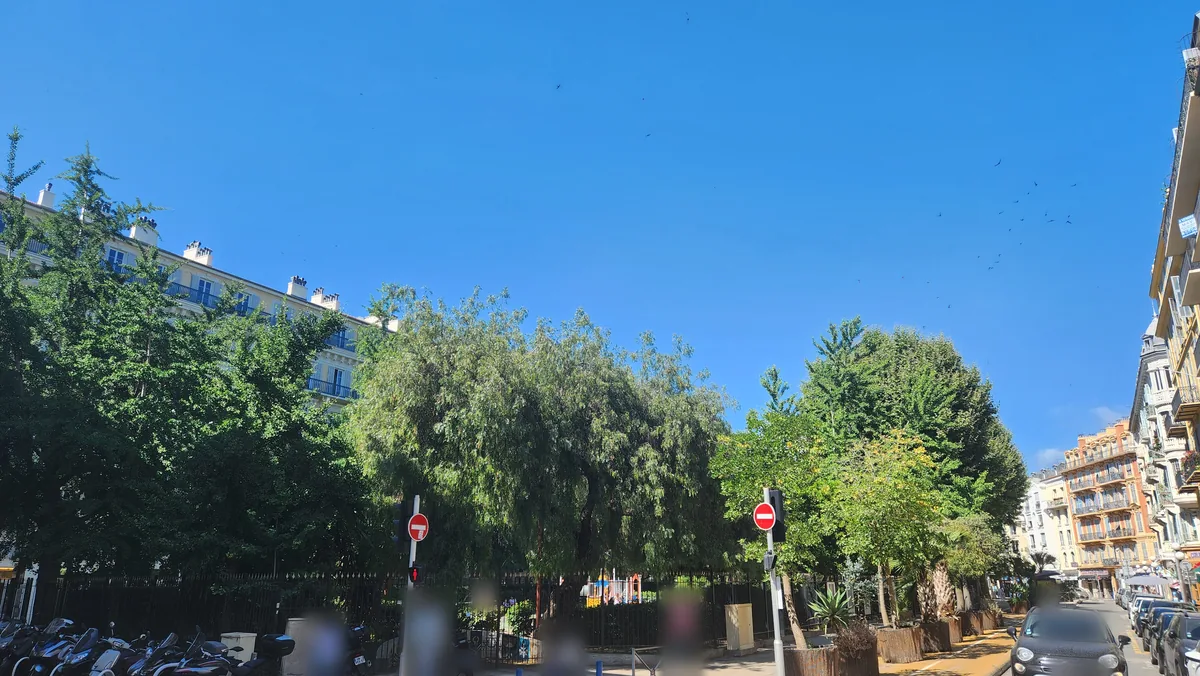 Le jardin de la place Wilson à Nice, à proximité de la rue Pastorelli : grands arbres, grille et aire de jeux, immeubles bourgeois en arrière-plan